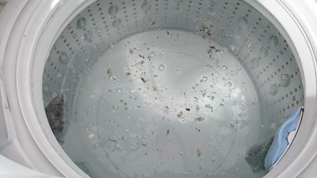 洗濯機の掃除方法を徹底解説 塩素系 酸素系 重曹のなかで効果的なのはどれ くらしのマーケットマガジン