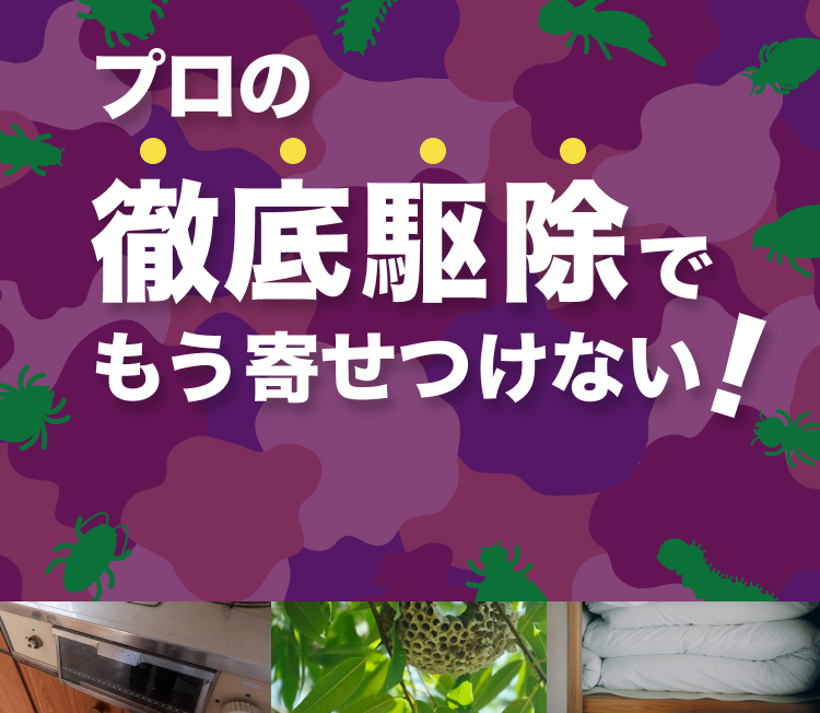 プロの徹底駆除でもう寄せつけない！害虫対策特集