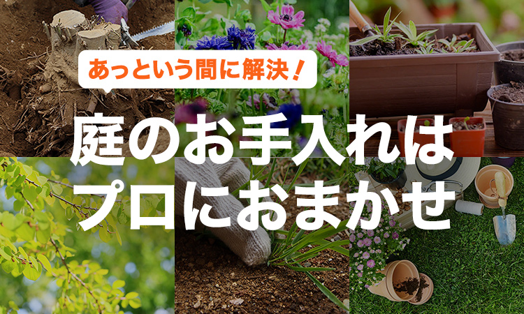 剪定・造園イメージ