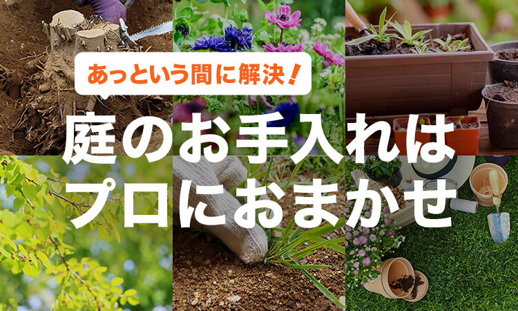 庭のお手入れはプロにおまかせ！剪定・造園特集
